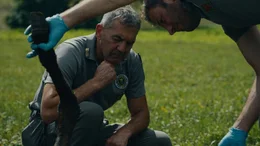 Valter Calvetti ist einer der F&ouml;rster, der f&uuml;r das Management der B&auml;ren verantwortlich ist. Er betrachtet seine Rolle als eine Art "Advocatus Diavoli", der sowohl die Interessen der B&auml;ren sch&uuml;tzt als auch deren Gegner versteht.