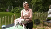 Tierheilpraktikerin Franziska Hartl k&uuml;mmert sich um Windhund-Dame Coxi, die an der Knochenkrankheit Multiple Sklerose erkrankt ist.
