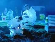 Wer ist der Tote im Park? An der Fundstelle stellen Sara (Jorja Fox) und Gil (William Petersen) fest: Der Mörder hat sein Opfer mit Lauge übergossen. Wer ist der Tote im Park? An der Fundstelle stellen Sara (Jorja Fox) und Gil (William Petersen) fest: Der Mörder hat sein Opfer mit Lauge übergossen.