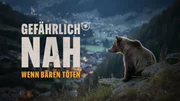 Keyvisual zum Dokumentarfilm "Gef&auml;hrlich nah - Wenn B&auml;ren t&ouml;ten".