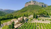 Rund um die Finca Son Berga im &Ouml;rtchen Alar&oacute; am S&uuml;dhang des Tramuntana-Gebirges besucht Karl Ploberger eindrucksvolle Zitrusplantagen: ein endloser Hain aus Orangen-, Mandarinen- und Clementinenb&auml;umen.