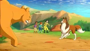 Lassie verteidigt Harvey, Zoe und Kim vor dem gefährlichen Berglöwen. Lassie verteidigt Harvey, Zoe und Kim vor dem gefährlichen Berglöwen.