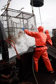 Shea Long throws hook and pulls pot over rail in big seas.