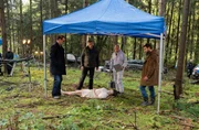 Die Kommissare Lars (Ingo Naujoks, l.), Finn (Sven Martinek, 2.v.l.) und Gregor (Jonas Minthe, r.) werden zum Leichenfund einer jungen Frau gerufen. Strahl (Christoph Tomarek, 2.v.r.) hat schon erste Erkenntnisse: Der Fundort ist nicht der Tatort. Die Kommissare Lars (Ingo Naujoks, l.), Finn (Sven Martinek, 2.v.l.) und Gregor (Jonas Minthe, r.) werden zum Leichenfund einer jungen Frau gerufen. Strahl (Christoph Tomarek, 2.v.r.) hat schon erste Erkenntnisse: Der Fundort ist nicht der Tatort.