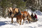 Conny Buergler und Pferdebauer Hubert Kirchmair haben Spa&szlig; bei einer Pferdeschlittenfahrt.