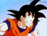 Auf geht's zu neuen Abenteuern...