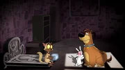 Chester, Bunnicula, Harold
