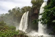 Rund um die Iguaçu-Wasserfälle im Norden Argentiniens sammeln die Ureinwohner seit Jahrtausenden Heilkräuter. Rund um die Iguaçu-Wasserfälle im Norden Argentiniens sammeln die Ureinwohner seit Jahrtausenden Heilkräuter.