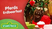 Pferd freut sich auf das Erdbeerfest. Pferd freut sich auf das Erdbeerfest.