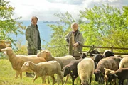 Micha Oberl&auml;nder (Matthias Koeberlin) besucht Ruth Lamprecht (Elfriede Sch&uuml;sseleder) auf ihrer Weide, um sie zu befragen.