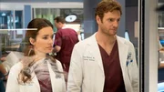 Natalie Manning (Torrey DeVitto) und Will Halstead (Nick Gehlfuss)