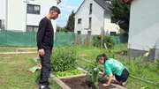 Pascal &uuml;bernimmt ein Beet im Gemeinschaftsgarten, k&auml;mpft mit Unkraut und wird von Ella unterst&uuml;tzt.; Pascal &uuml;bernimmt ein Beet im Gemeinschaftsgarten, k&auml;mpft mit Unkraut und wird von Ella unterst&uuml;tzt.