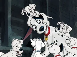in the center: Pongo in the center: Pongo
