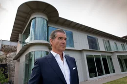 Pierce Brosnan als Mike Regan