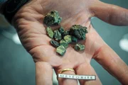 French meteorite hunter Gerard Merrier shows several pieces of Mars meteorite on February 5 in Tours, central France before he sells his collection at auction on February 28 in Vend&radic;&yen;me. Gerard Merlier has stride along the deserts in search of meteorites. He decided to plan an auction for his precious collection of meteorites to ensure his retirement. (Photo by GUILLAUME SOUVANT / AFP)