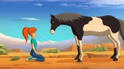 Beim Wildpferde einfangen hat Zoe eine Stute entdeckt, die sich von den anderen entfernt hat.