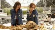 Angela Montenegro (Michaela Conlin, li.) und Dr. Temperance Brennan (Emily Deschanel) untersuchen eine skelettierte Leiche, die in einem Teich auf dem Arlington Nationalfriedhof gefunden wurde. Angela Montenegro (Michaela Conlin, li.) und Dr. Temperance Brennan (Emily Deschanel) untersuchen eine skelettierte Leiche, die in einem Teich auf dem Arlington Nationalfriedhof gefunden wurde.