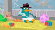 PERRY THE PLATYPUS