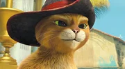Die Serie erz&auml;hlt die Geschichte des gestiefelten Katers, bevor er im Kino zum treuen Wegbegleiter des gr&uuml;nen &bdquo;tollk&uuml;hnen Helden&ldquo; Shrek wurde. Zu Beginn rettet der kampferprobte Kater die sch&ouml;ne Katzendame Dulcinea vor Dieben und folgt ihr anschlie&szlig;end heimlich in deren Heimatstadt San Lorenzo. Dort ist ein gro&szlig;er Schatz versteckt, auf den es die skrupellosen Diebe abgesehen haben. Doch als der Kater versehentlich den magischen Schutzzauber der Stadt zerst&ouml;rt, ist er der einzige, der San Lorenzo mit seinen dort lebenden Waisenkindern vor den Halunken besch&uuml;tzen kann.