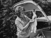 Die Studienr&auml;tin (Jana Drbohlavov&aacute;) vermutet, dass es sich bei diesem Kaninchen um ihren verzauberten Kollegen Marschik handelt.