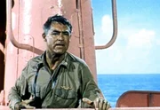 Kapit&auml;n Sherman (Cary Grant) ist mehr als &uuml;berrascht, als er sein U-Boot im sch&ouml;nsten Rosa leuchten sieht.