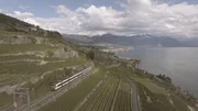 Lavaux