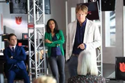 Henry Pettigrew (Dominic Green), Jos&eacute;phine Jobert, Kris Marshall