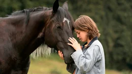 Hengst Ostwind ist traumatisiert und frisst nicht. Kann Ari (Luna Paiano) ihn retten?