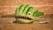 Der Melonensuchus ist verzweifelt - nicht mal eine Pfütze ist von seinem See übrig geblieben. Der Melonensuchus ist verzweifelt - nicht mal eine Pfütze ist von seinem See übrig geblieben.