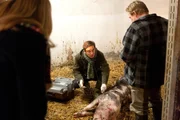 Tierarzt Jochen Kauth (Arnd Klawitter, M.) ist mit Sophie Haas (Caroline Peters, l.) in den Stall von Klaus Harnischmacher (Werner Wölbern, r.) geeilt. Doch er kann nur noch den Tod von Zucht-Eber Jacko feststellen. Tierarzt Jochen Kauth (Arnd Klawitter, M.) ist mit Sophie Haas (Caroline Peters, l.) in den Stall von Klaus Harnischmacher (Werner Wölbern, r.) geeilt. Doch er kann nur noch den Tod von Zucht-Eber Jacko feststellen.