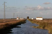 Südlich von Sevilla liegen die Sümpfe des Guadalquivir im Herzen einer unergründlichen Region, in die sich nur wenige Besucher wagen. Südlich von Sevilla liegen die Sümpfe des Guadalquivir im Herzen einer unergründlichen Region, in die sich nur wenige Besucher wagen.