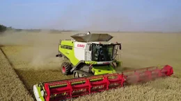 Erntezeit in Vorpommern: Leistungsstarke M&auml;hdrescher wie dieser geh&ouml;ren zu den unverzichtbaren Landmaschinen.