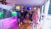The LED lighting of the 1300 liter fish tank, in which a colorful crowd of underwater inhabitants cavort, flashes to the beat of the music that "Redfoo" plays at the DJ station.