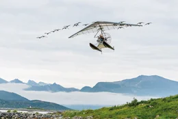 Thomas (Louis Vazquez) fliegt gemeinsam mit den Wildg&auml;nse von Norwegen nach Frankreich, und erlebt das gr&ouml;&szlig;te Abenteuer seines Lebens.