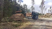 Wie wird aus dem Baum ein Eigenheim? Die Reportage verfolgt den Weg des Rohstoffs vom Wald bis in die Fertigung.