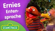 Ernie hilft Bert gerne beim Sortieren seiner Kronkorken, vorausgesetzt, Bert fragt ihn nett in Entensprache.