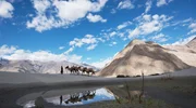 Ein Kamelhirte f&uuml;hrt seinen Kamelzug &uuml;ber die Sandd&uuml;nen, Nubra-Tal, Indien.