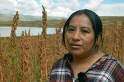 Quinoa-Suppe ist in Peru Frauensache: K&ouml;chin Josefina Ramchi gew&auml;hrt Einblicke in den Herstellungsprozess der heiligen Mahlzeit.