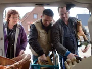 Die humorvolle Fr&uuml;hrentnerin Lore Apenberg aus Hamburg, hat sich gro&szlig;es vorgenommen: Sie will sich, aufgrund ihres bevorstehenden Umzugs, von ihrer umfangreichen Puppen-und Teddy-Sammlung trennen. Tr&ouml;delexperte Mauro aus K&ouml;ln will Lore bei Kl&auml;rung dieser Frage helfen.