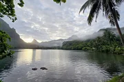 Die Baie d'Opunohu ist eine von zwei langen Buchten, die bis ins Landesinnere der Vulkaninsel Moorea reichen.