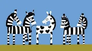Es ist doch toll, so ein besonderes Zebra zu sein!