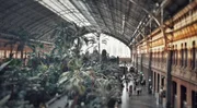 der tropische Garten am Bahnhof Atocha in Madrid.