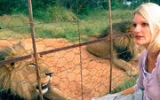 ARD/SWR DAS WAISENHAUS FÜR WILDE TIERE FOLGE 14, "Abenteuer Afrika", SWR Dokuserie mit 40 Folgen, deren Schauplatz die Tierrettungsstation "Harnas" am Rand der afrikanischen Kalahari-Wüste ist, Annika hat eine ganz besondere Beziehung zu den Löwen. ARD/SWR DAS WAISENHAUS FÜR WILDE TIERE FOLGE 14, "Abenteuer Afrika", SWR Dokuserie mit 40 Folgen, deren Schauplatz die Tierrettungsstation "Harnas" am Rand der afrikanischen Kalahari-Wüste ist, Annika hat eine ganz besondere Beziehung zu den Löwen.