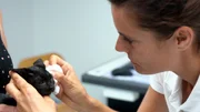 Dr. Yasmin Diepenbruck untersucht die erkrankten Augen der Findelk&auml;tzchen.