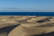 Die D&uuml;nenlandschaft Maspalomas erstreckt sich bis zum Meer.