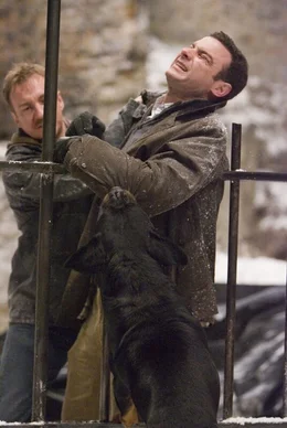David Thewlis, Liev Schreiber