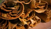 Das Gew&uuml;rz Zimt ist der getrocknete Rindenbast des Zimtbaumes.