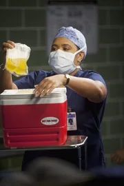 Hat eine neue Technologie f&uuml;r sich entdeckt, noch mehr Studenten gleichzeitig zu unterrichten: Bailey (Chandra Wilson) ...