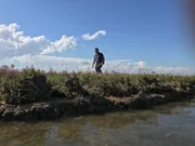 Guido Giordano besucht eine unbewohnte Insel in der Lagune von Venedig, um zu erkunden, wie Venedig vor der Ankunft der Siedler aussah