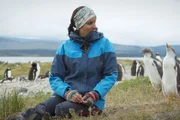 Patagonien &ndash; Wunderwelt der Extreme Der S&uuml;den Andrea Raya Rey mit Eselspinguinen
